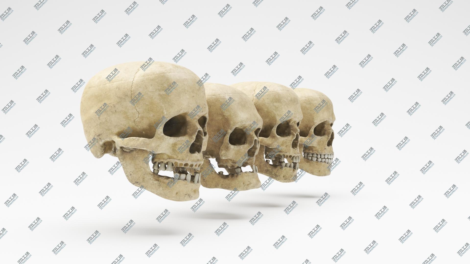 images/goods_img/2021040233/Human Skull Set 3D/5.jpg